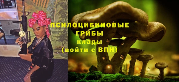 прущие грибы Армянск