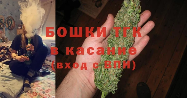 прущие грибы Армянск