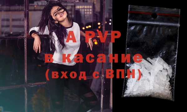 шишки Пересвет