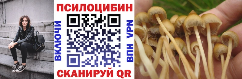 Псилоцибиновые грибы ЛСД  Ладушкин 